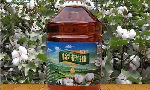 新疆棉花籽油多少钱一斤_新疆棉籽油价格