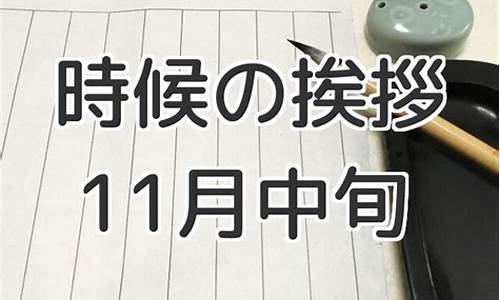 2013年11月中旬油价调整时间_2013年油价一览表每升